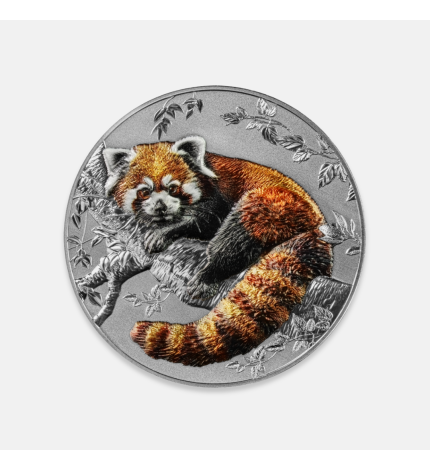 Przedstawiciele gatunków: Czerwona Panda 2025 2 uncje srebra Przedstawiciele gatunków: Czerwona Panda 2025 2 uncje srebra