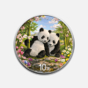 Chińska Panda 2026 Wiosna 30 g srebra