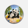 Chińska Panda 2026 Lato 30 g srebra