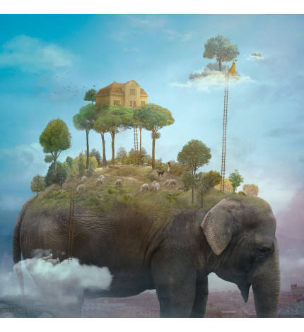 Nikolina Petolas, The sheep Whisperer, 2019 Nikolina Petolas, The sheep Whisperer, 2019