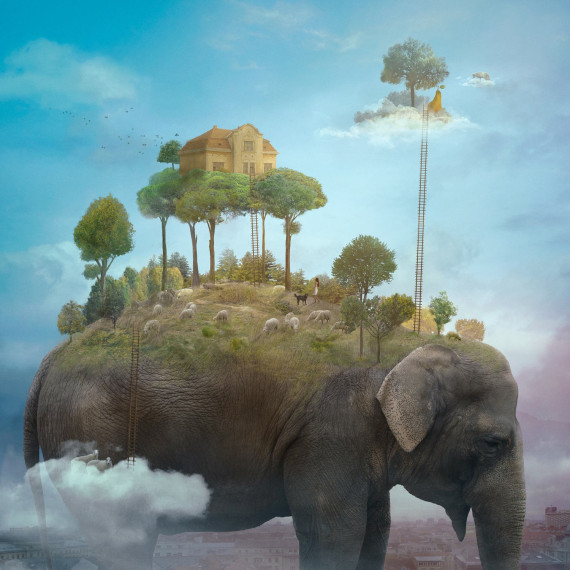 Nikolina Petolas, The sheep Whisperer, 2019