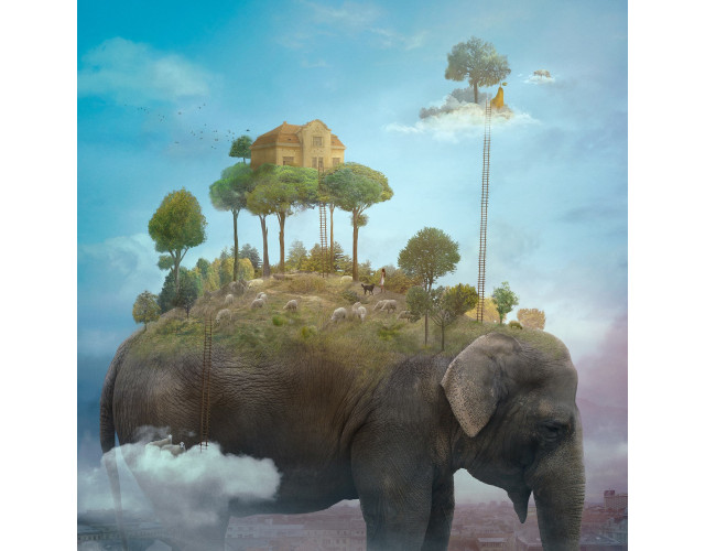 Nikolina Petolas, The sheep Whisperer, 2019 Nikolina Petolas, The sheep Whisperer, 2019