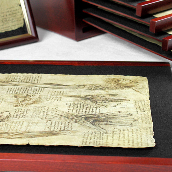 Leonardo da Vinci – Rysunki anatomiczne, seria 1. - Galeria Goldenm... Leonardo da Vinci – Rysunki anatomiczne, seria 1. - Galeria Goldenm...