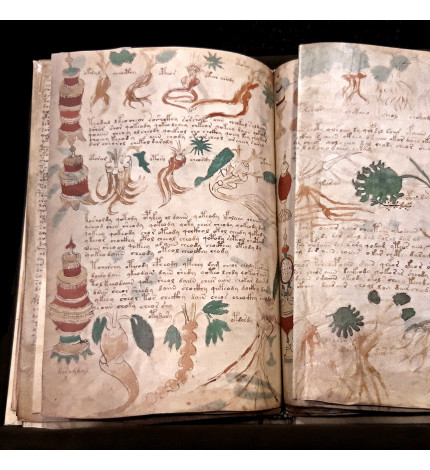 Manuskrypt Wojnicza -...