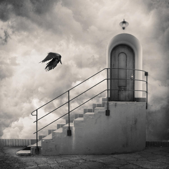 Tommy Ingberg, Ingress, 2020