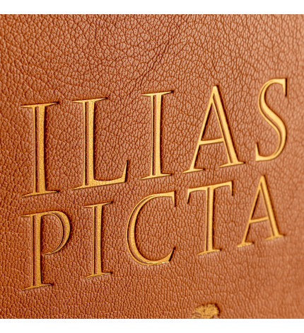 Ilias Picta Ilias Picta