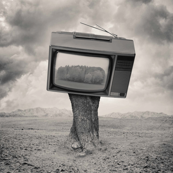 Tommy Ingberg, Broadcast