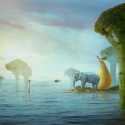 Nikolina Petolas, Island, 2019 Nikolina Petolas, Island, 2019