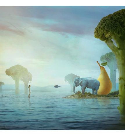 Nikolina Petolas, Island, 2019 Nikolina Petolas, Island, 2019