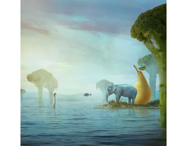 Nikolina Petolas, Island, 2019 Nikolina Petolas, Island, 2019