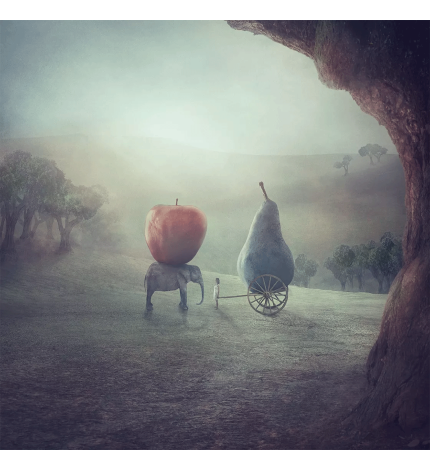 Nikolina Petolas, Dreaming of red Nikolina Petolas, Dreaming of red