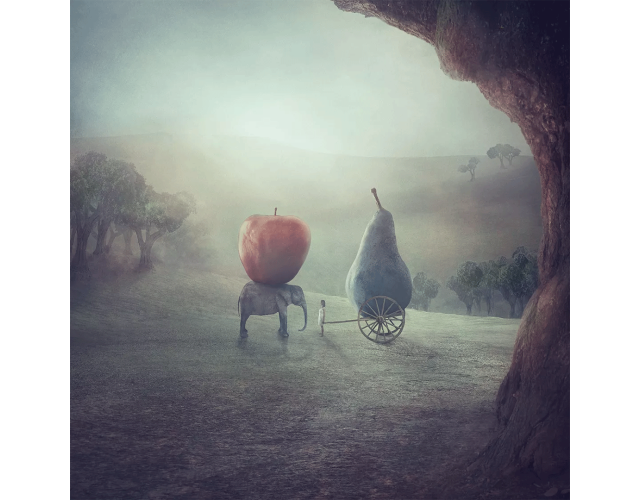 Nikolina Petolas, Dreaming of red Nikolina Petolas, Dreaming of red