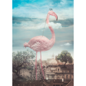 Nikolina Petolas, What Else is Out There?, 2019 Nikolina Petolas, What Else is Out There?, 2019