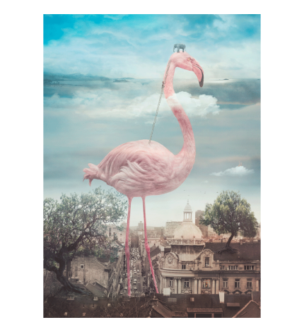 Nikolina Petolas, What Else is Out There?, 2019 Nikolina Petolas, What Else is Out There?, 2019