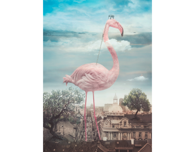 Nikolina Petolas, What Else is Out There?, 2019 Nikolina Petolas, What Else is Out There?, 2019
