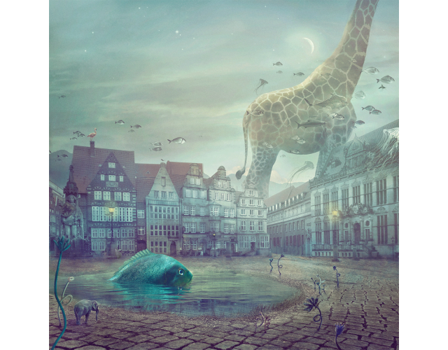 Nikolina Petolas, Fish Tales Nikolina Petolas, Fish Tales
