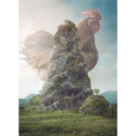 Nikolina Petolas, Mr. Magnificent, 2017 Nikolina Petolas, Mr. Magnificent, 2017