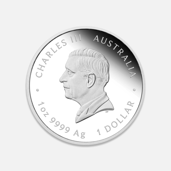 Rok Węża Proof 2025 1 uncja srebra Rok Węża Proof 2025 1 uncja srebra